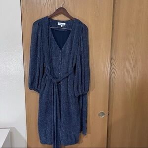 Anthropologie Kristinit Radzwill Blue Shimmer Sparkle Dress V-Neck Button Front